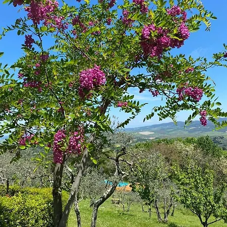 Casa Di Coraggio *