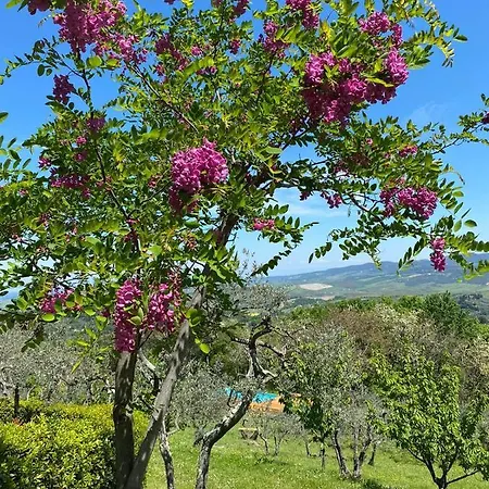 Casa Di Coraggio *